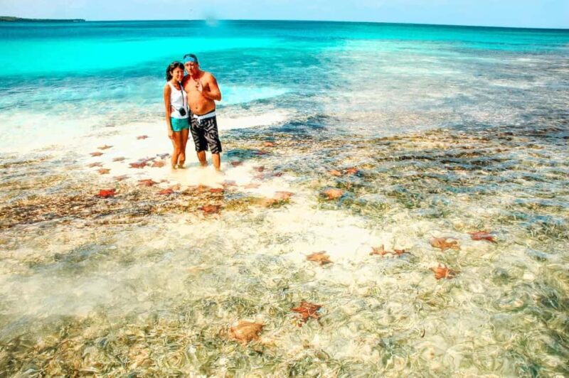 Isla Saona Speedboat Tour - Lunch, Wildlife & Natural Pools - Good To Know