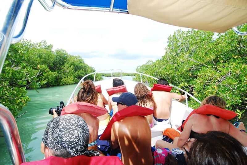 Isla Saona Wildlife Safari: Your All-Inclusive Escape - The Value and Cost Analysis
