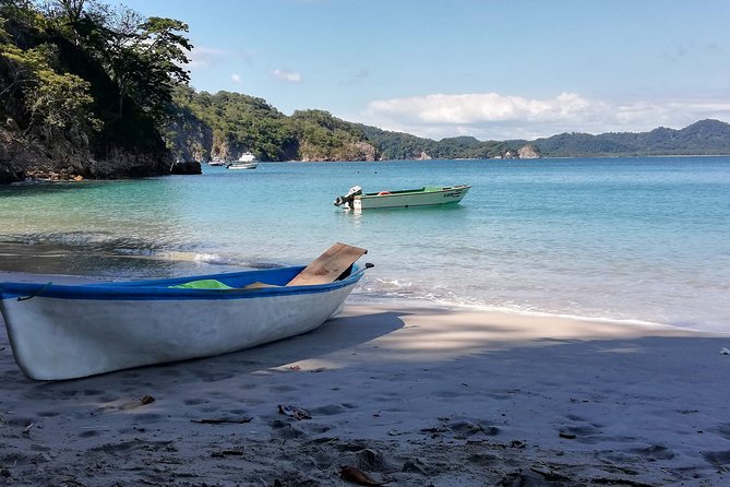 Isla Tortuga Snorkeling Tour - Customer Reviews