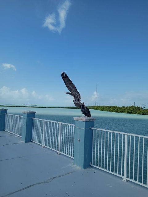 Islamorada: Guided Tour With Local Highlights - Good To Know