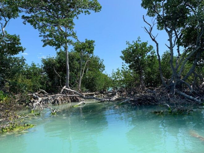 Islamorada: Guided Tour With Local Highlights - Tour Description
