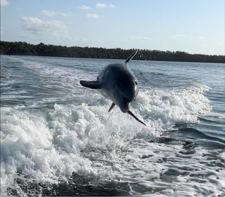 Islamorada: Multi-Activity Private Boat Charter - Activity Details