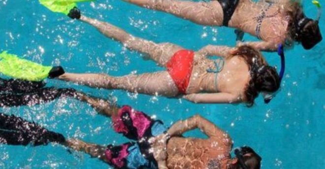 Islamorada: Snorkel Adventure & Sandbar Trip From Cheeca Spa - Inclusions