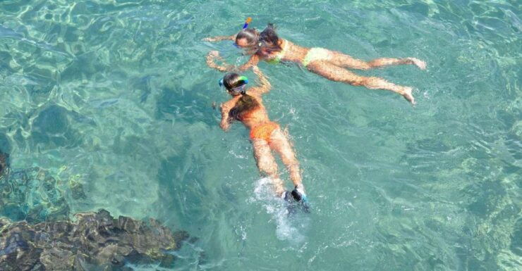 Islamorada: Snorkeling and Beach Adventure From Cheeca Spa - Good To Know