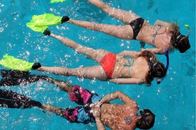 Islamorada: Snorkeling Experience - Logistics