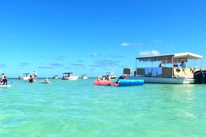 Islamorada: Whale Harbor Sandbar With Swimming - Tour Highlights and Inclusions
