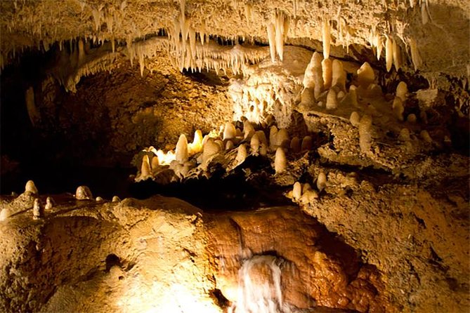 Island Adventure Harrisons Cave & Monkey Feeding Group Tour or Private Tour - Pricing and Guarantees