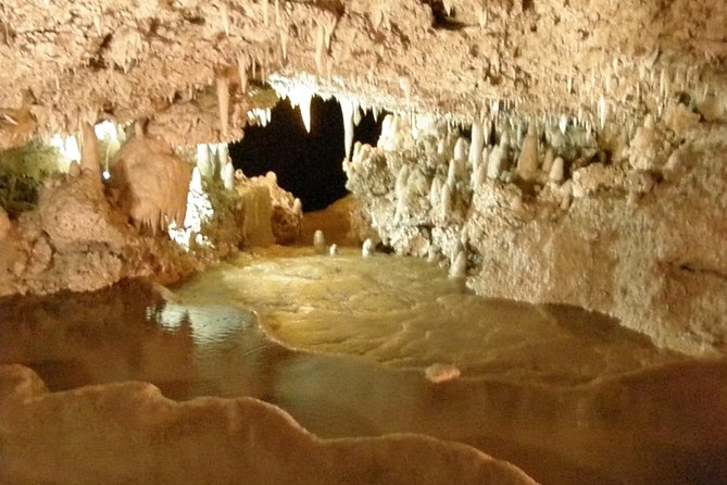 Island Adventure Harrisons Cave & Monkey Feeding Group Tour or Private Tour - Traveler Photos and Featured Review
