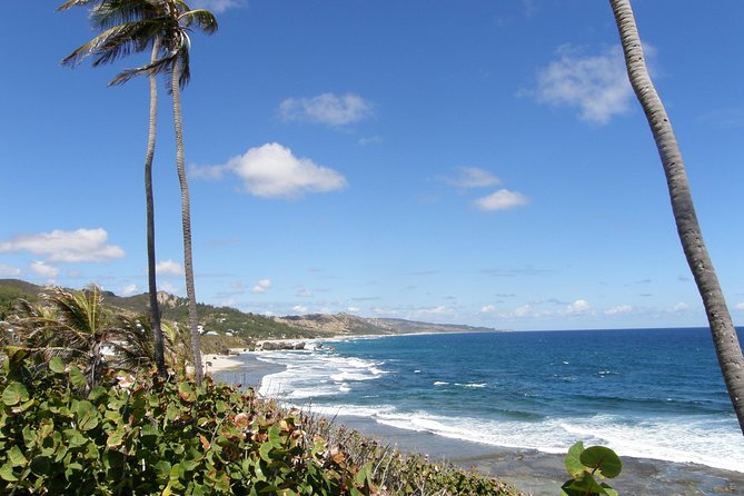 Island Adventure Harrisons Cave & Monkey Feeding Group Tour or Private Tour - Highlights of the Tour