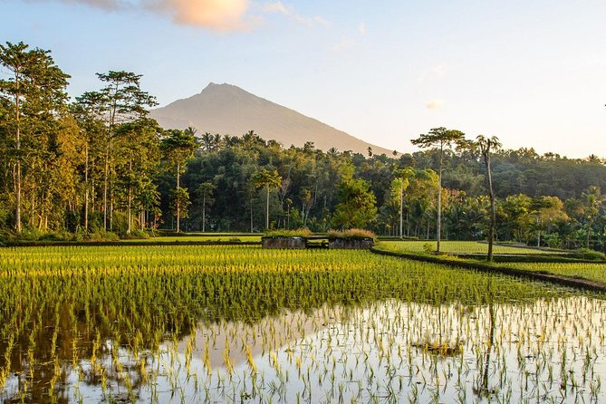 Island Adventure: Lombok Biking Tour by Tugu Lombok - Tour Overview