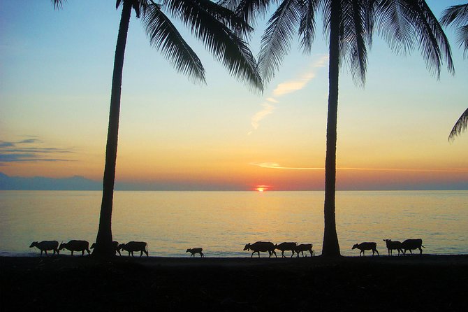 Island Adventure: Lombok Biking Tour by Tugu Lombok - Inclusions
