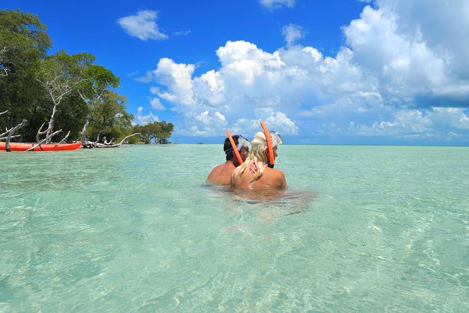 Island Adventure Snorkel Kayak Tour From Key West With Drinks - Overview of the Experience