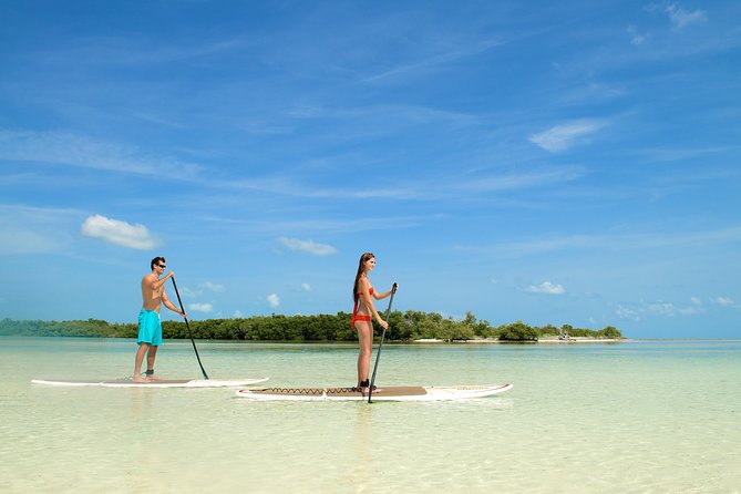 Island Adventure Snorkel Kayak Tour From Key West With Drinks - Positive Reviews
