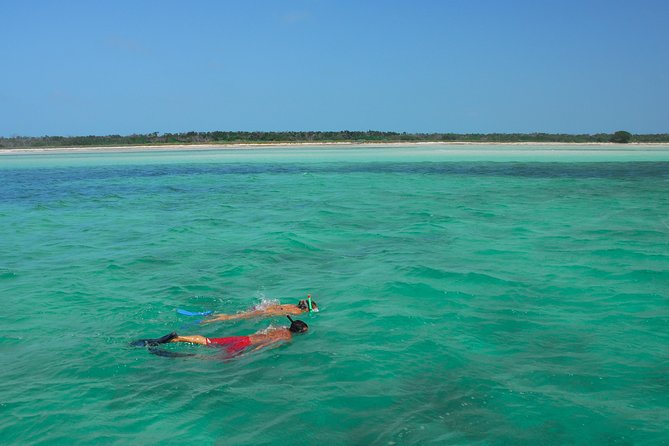 Island Adventure Snorkel Kayak Tour From Key West With Drinks - Fun Activities and Memorable Experiences