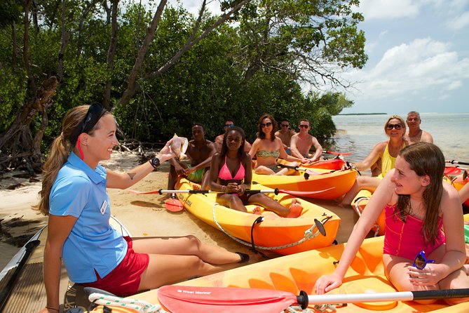 Island Adventure Snorkel Kayak Tour From Key West With Drinks - Excellent Crew
