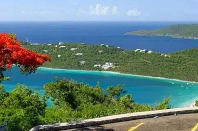 Island Buggy Excursions - Final Thoughts