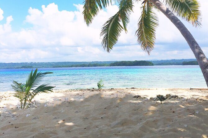 Island Day Tour Santo's Best Snorkeling Marine Sanctuary - Who This Tour Is Best For