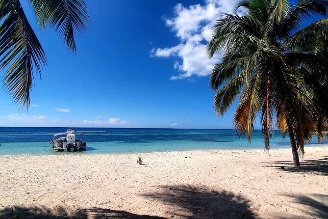 Island DE Saona: EN Small Group Tour on Trimaran Motorise - Exploring the Saona Island Small Group Tour on a Motorized Trimaran