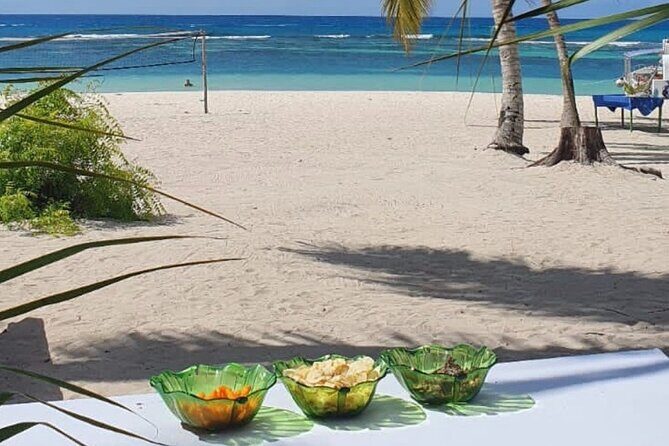 Island DE Saona: EN Small Group Tour on Trimaran Motorise - The Sum Up: Is This Tour Right for You?