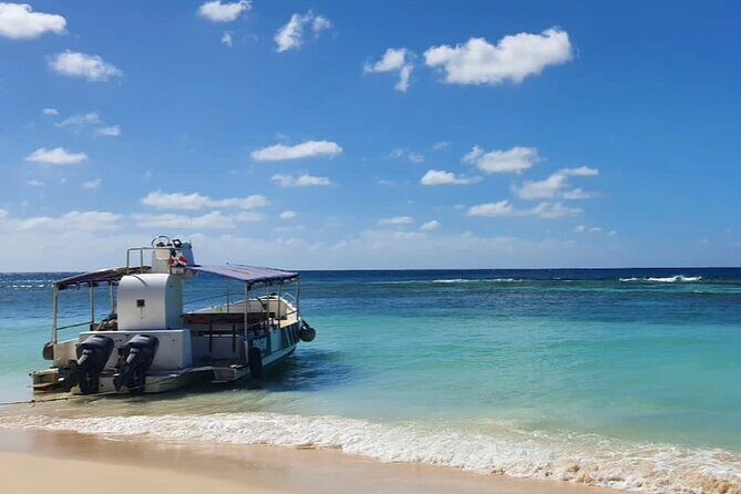 Island DE Saona: EN Small Group Tour on Trimaran Motorise - FAQ