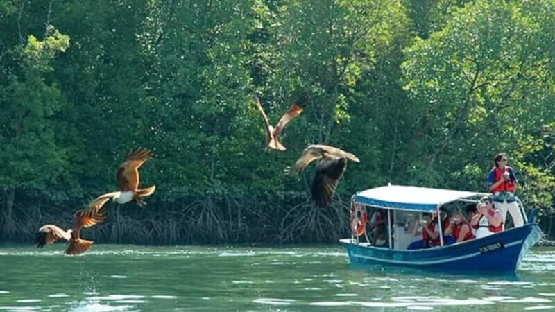 Island Discovery Boat Adventure in Langkawi with Pick Up - Good To Know