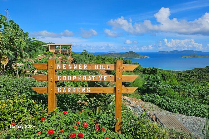 Island Eco Farm Tour with Local Treats and Sapphire Beach Time - An In-Depth Look at the Island Eco Farm Tour