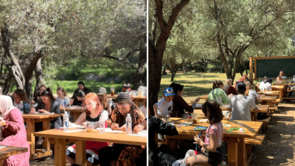 Island Escape: One-of-a-Kind Local Workshop on Lokrum Island - Meeting Point