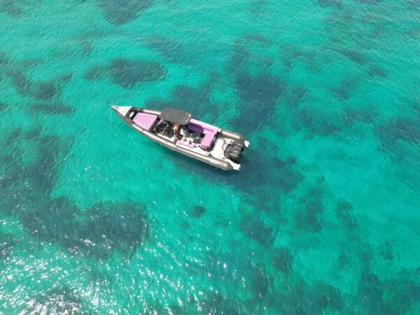 Island Hopping Spead Boat - Customer Reviews