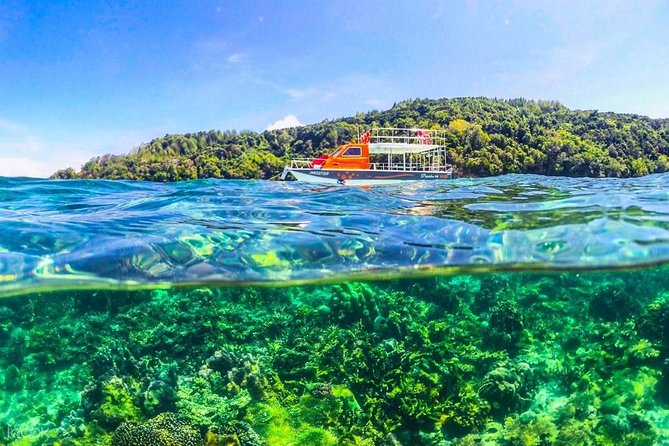 Island Hopping Tour (2 Island) From Kota Kinabalu - Customer Reviews