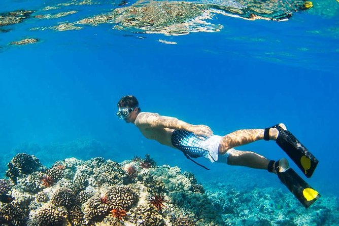 Island Hopping Tour (2 Island) From Kota Kinabalu - Transportation Details