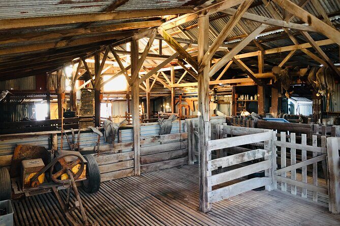 Island Life Adventures | A Day at Dirk - Final Thoughts