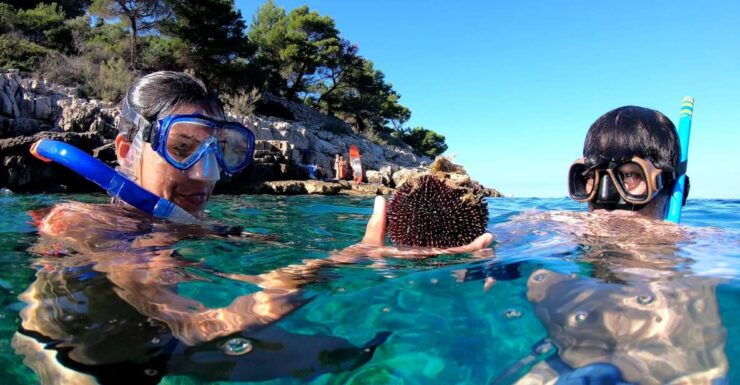 Island Losinj Kayak Tour - Activity Details