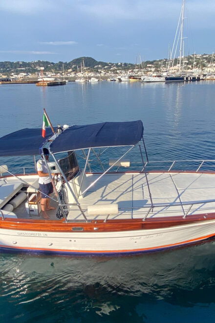 Island of Ischia: Private Full Day Boat Tour on Aprea 7,5m O - Frequently Asked Questions