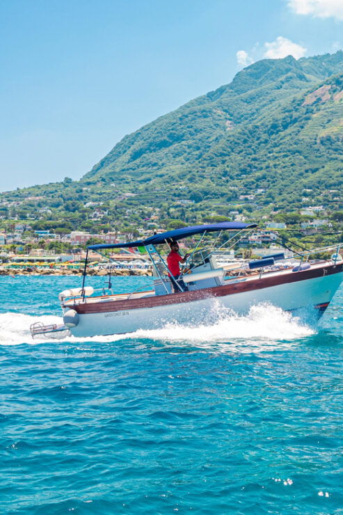Island of Ischia: Private Full Day Boat Tour on Aprea 8,3m - Good To Know