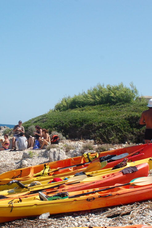 Island of LERINS Cannes: Rent Our Kayak for a Day Trip - Key Points