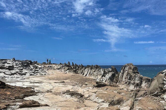 Island of Maui Customized Half Day Tour - Good To Know