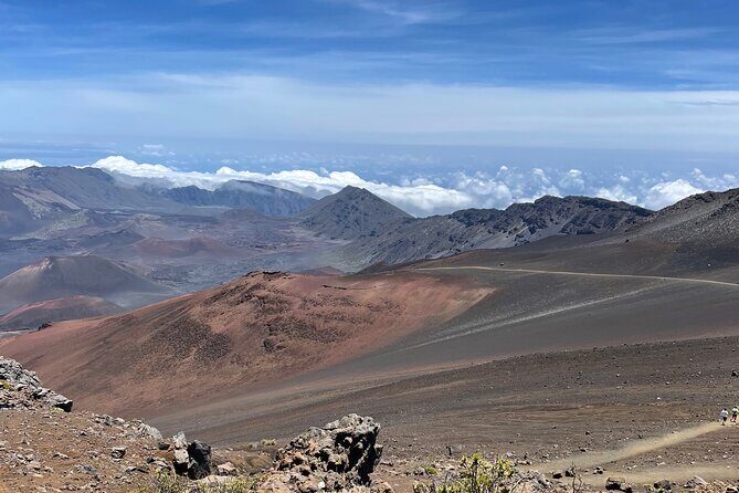 Island of Maui Customized Half Day Tour - What the Tour Looks Like: An In-Depth Breakdown