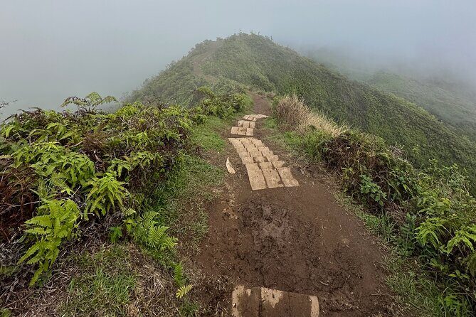 Island of Maui Customized Half Day Tour - The Value of the Experience