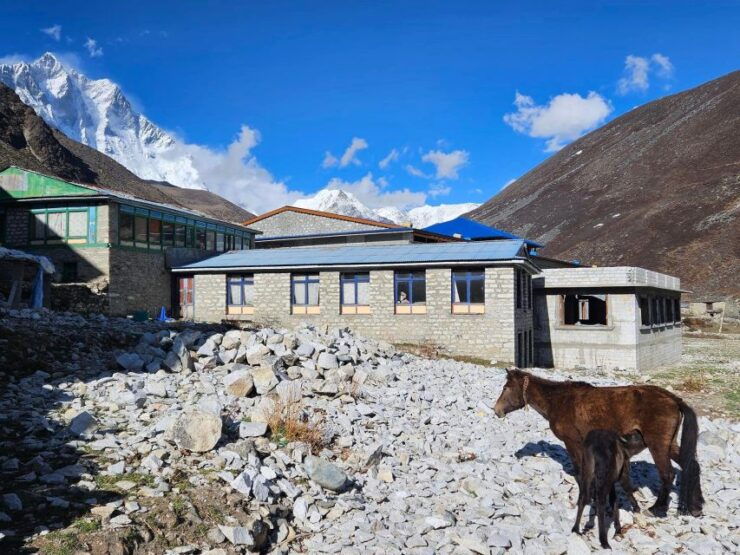 Island Peak Climbing - 13 Days - Inclusions and Accommodations