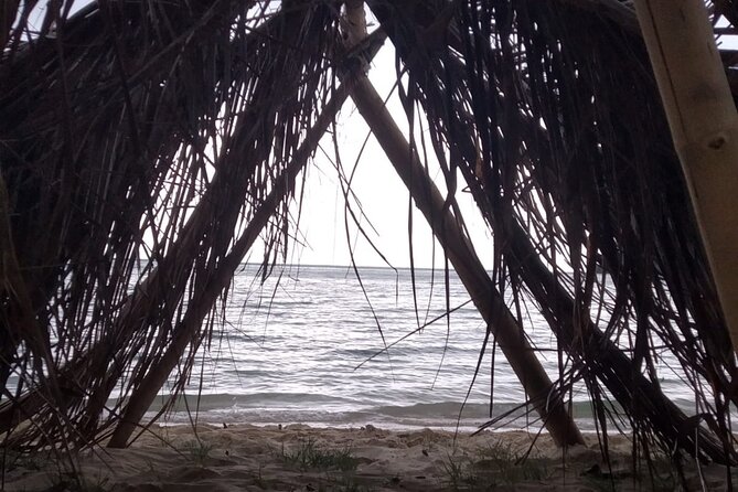 Island Survivor- Koh Samui - Embracing Nature on Koh Samui