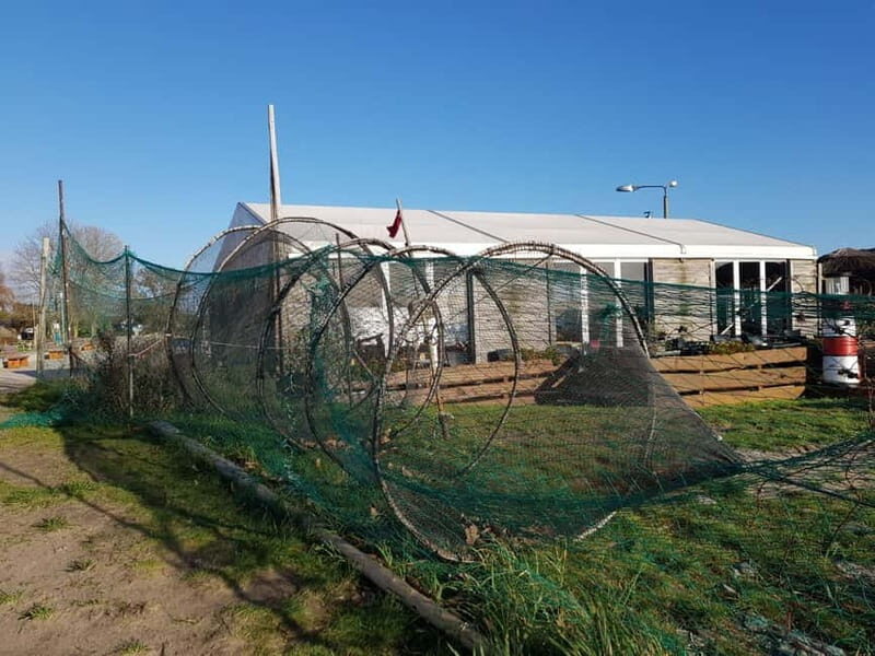 Island taster tour with Swinemünde - Why This Tour is Worth Considering