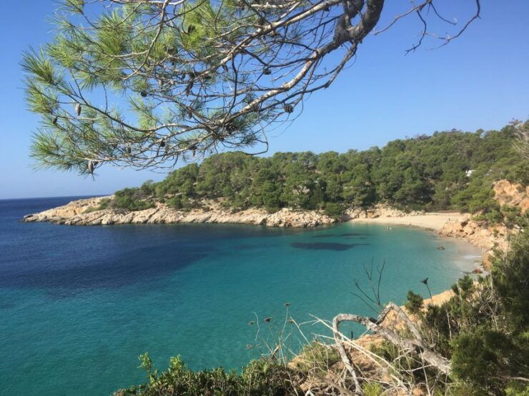 Island Tour - Private - Experience Highlights