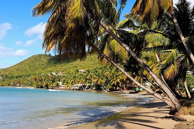 Island Tour Sightseeing - Booking Policy