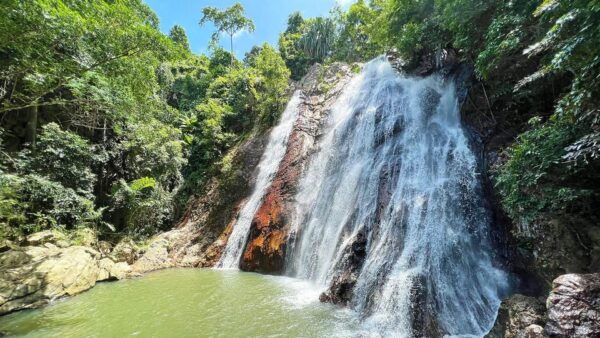 ISLAND TOUR VIP AROUND KOH SAMUI FULL DAY RARE SIGHTSEEING - Dining Experience