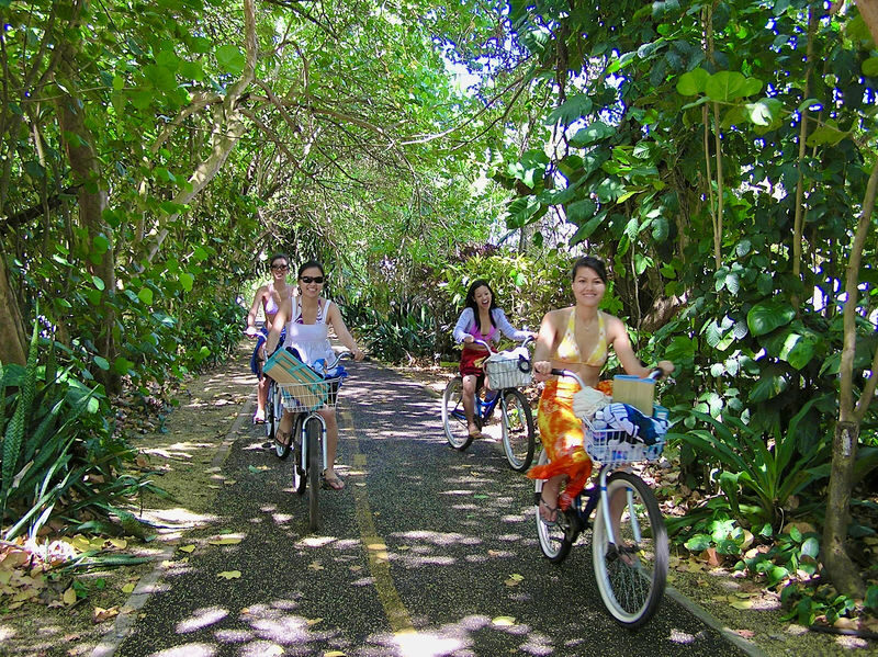 Island Tour + Waterfall & Snorkel - Choose your activity, not every activity