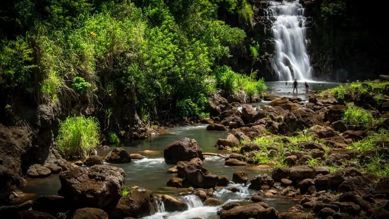 Island Tour + Waterfall & Snorkel - Haleiwa for lunch, browsing, and a shoreline lookout