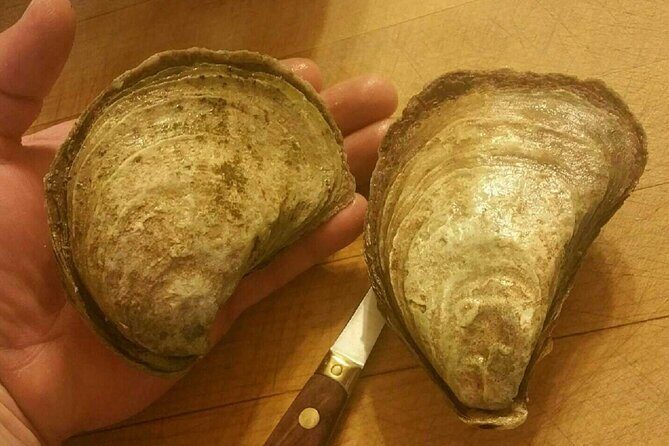 Island Tour with Oyster Tasting & Merroir Experience P.E.I. - Frequently Asked Questions (FAQs)