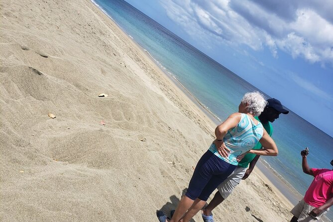 Island Tours of Tobago - Cancellation Policy