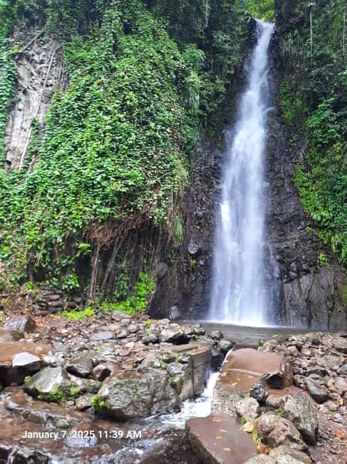 Island Tours: St. Vincent & the Grenadines - Dark View Falls - An In-Depth Look at the Dark View Falls Tour