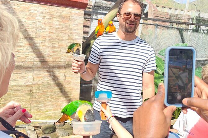 Island Transfers: St. Maarten & St. Martin Pick-Up & Drop-Off - A Closer Look at the Island Transfers Experience